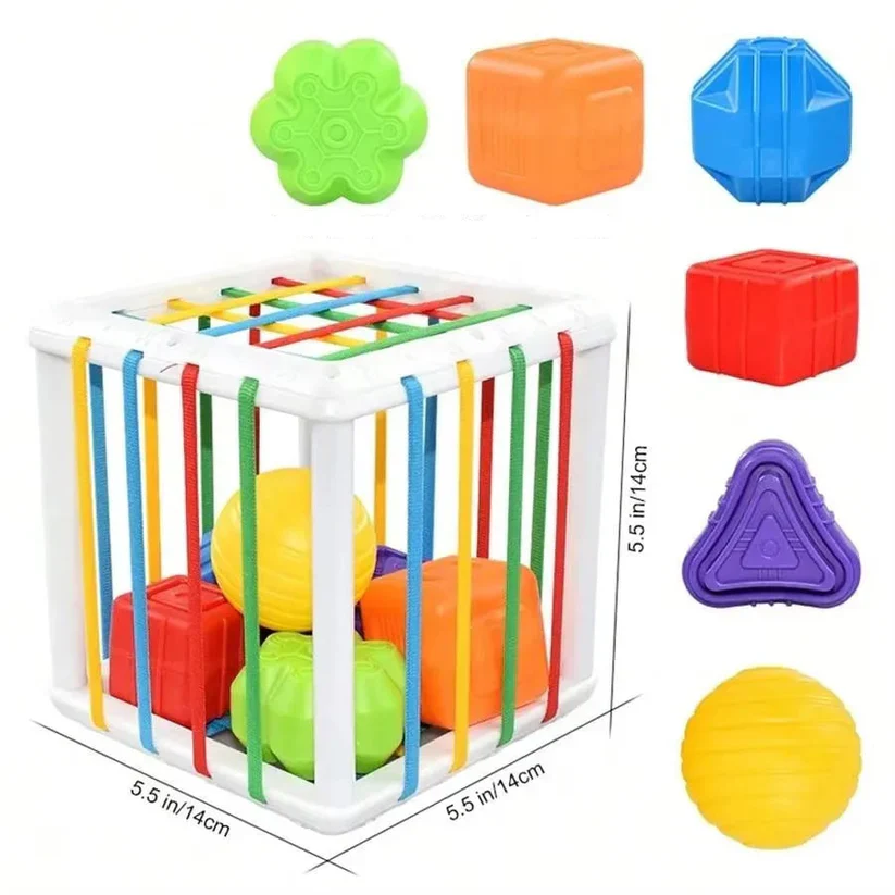 Montessori shapebox – sorting and motor skills game - Image 4