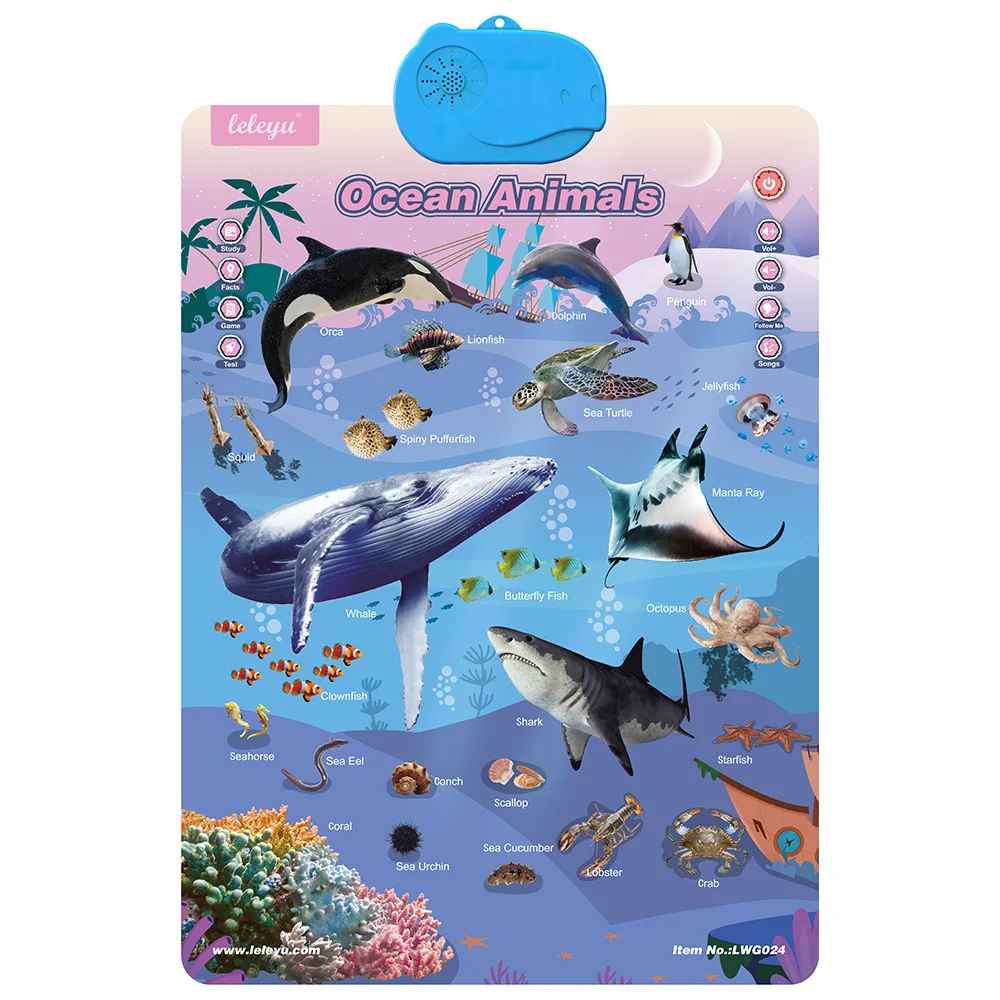 Talking English learning board for children - Image 9